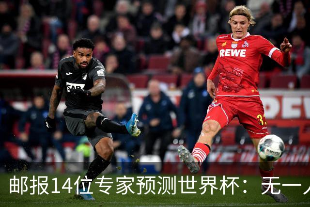 邮报14位专家预测世界杯：无一人看好英格兰队夺冠